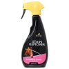 Lincoln Stain Remover